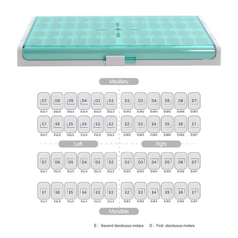 REEHUT Kid Preformed Teeth Crowns Preformed Metal Crown Stainless Steel Crowns 48 Different Sizes Crowns Digital Identification Size in Kuwait