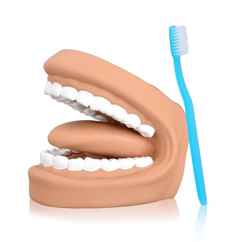 Ultrassist Mouth Puppet Dental Model for Teaching Kids, Large Teeth Brushing Teaching Tool, Interactive Dental Demonstration Model with Toothbrush in Saudi Arabia