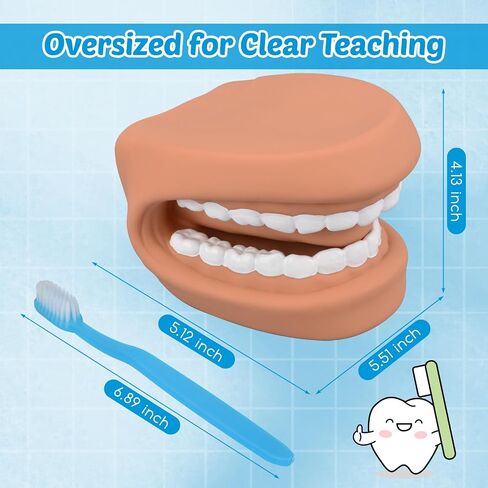 Ultrassist Mouth Puppet Dental Model for Teaching Kids, Large Teeth Brushing Teaching Tool, Interactive Dental Demonstration Model with Toothbrush in Saudi Arabia