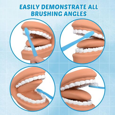 Ultrassist Mouth Puppet Dental Model for Teaching Kids, Large Teeth Brushing Teaching Tool, Interactive Dental Demonstration Model with Toothbrush in Saudi Arabia