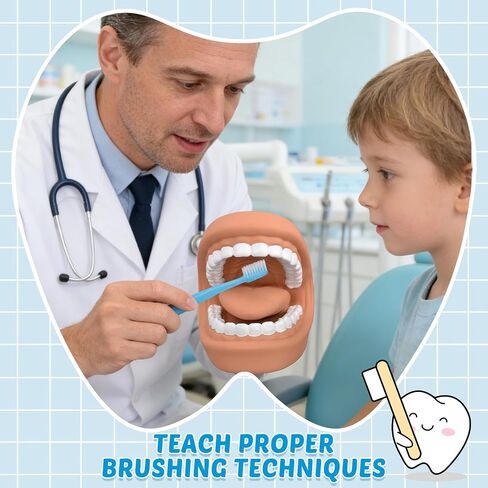 Ultrassist Mouth Puppet Dental Model for Teaching Kids, Large Teeth Brushing Teaching Tool, Interactive Dental Demonstration Model with Toothbrush in Saudi Arabia
