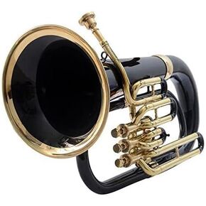 Bb Euphonium 3 Valve - Black Musical Instrument Gift in Kuwait