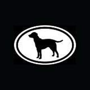 ملصق Lab Labrador Retriever أبيض بيضاوي من الفينيل لسلالة الكلاب والجرو سيارة لطيفة - ملصق فينيل مقطوع بالقالب للنوافذ والسيارات والشاحنات وصناديق الأدوات وأجهزة الكمبيوتر المحمولة وماك بوك - تقريبًا أي سطح صلب وناعم in Saudi Arabia