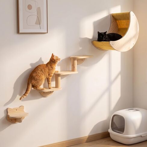 HAPYKITYS Cat Shelf for Wall Mount Hammock with 3-Levels Climbing Ladder and Shelves Moon Cats Wall Furniture for Activity Indoor Kitty (3-Levels Steps) in Saudi Arabia