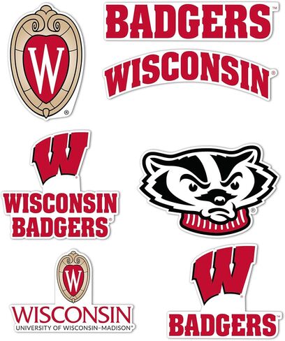 Desert Cactus University of Wisconsin Sticker Badgers UW Madison Vinyl Decals Laptop Water Bottle Car Scrapbook T2 (Type 2-3) in Saudi Arabia