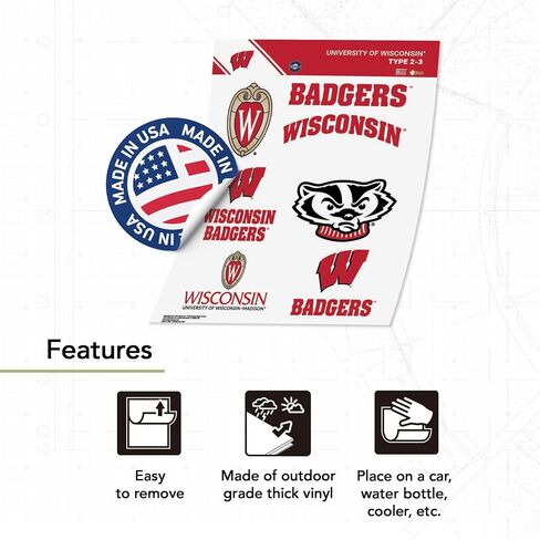 Desert Cactus University of Wisconsin Sticker Badgers UW Madison Vinyl Decals Laptop Water Bottle Car Scrapbook T2 (Type 2-3) in Saudi Arabia
