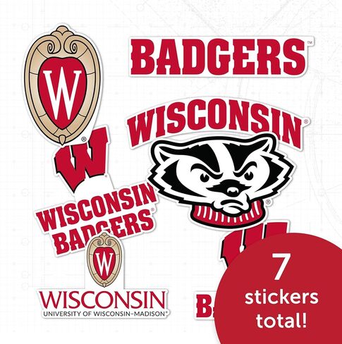 Desert Cactus University of Wisconsin Sticker Badgers UW Madison Vinyl Decals Laptop Water Bottle Car Scrapbook T2 (Type 2-3) in Saudi Arabia