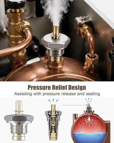 Espresso Machine Boiler Anti Vacuum Siphon Relief Valve 1/4M | Replace 1523534, Coffee Machine Safety Valve in Kuwait