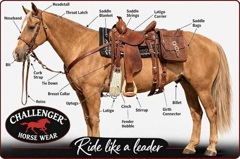 CHALLENGER Horse 32" Western 27 Strand Double Weave Cream Mohair Roper Cinch 97RT07CR-32 in Kuwait