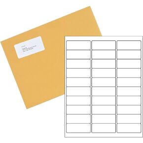 RyhamPaper White Sticker Address Labels 10 UP 2" x 4" Laser/Inkjet Compatible, 100 Sheets 1000 Stickers Adhesive Shipping Labels
