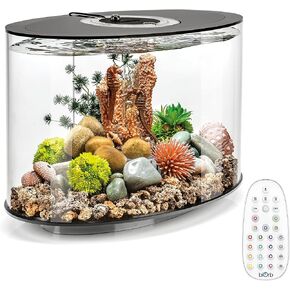 biOrb Loop 15 Acrylic 4-Gallon Aquarium with Multi-Color Remote-Controlled LED Lights Modern Compact Tank for Tabletop or Desktop Display, Black-Trimmed Tank