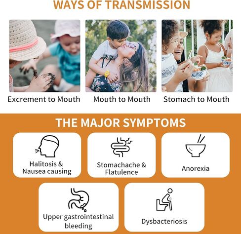 مجموعات اختبار ACCU-ANSWER H Pylori، طقم اختبار H. Pylori الذاتي، طقم اختبار منزلي للكشف عن هيليكوباكتر بيلوري، طقم اختبار H-Pylori، لا تحتاج إلى الذهاب إلى المختبر، دقيق وسهل الاستخدام. B0CRPM8HFG in Kuwait