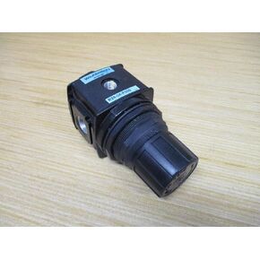 Air Regulator, 1/2 in NPT, 100 cfm, 300 psi in Saudi Arabia