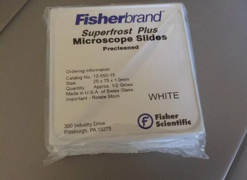 Superfrost Plus Micro Slide [ 1 Pack(s)] in Kuwait