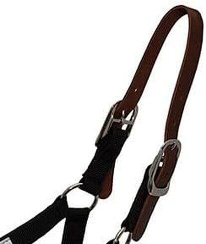 Thinline Leather Breakaway Halter Piece in Kuwait