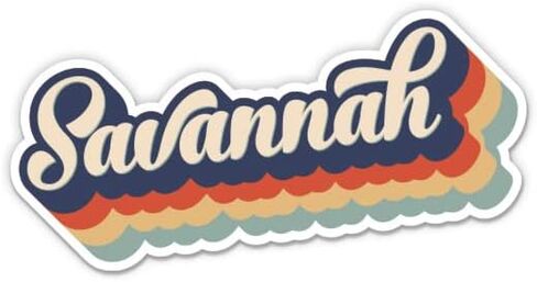 Squiddy Savannah Georgia Layered Retro Style - Vinyl Sticker Decal for Phone, Laptop, Water Bottle (3" Wide) in Kuwait
