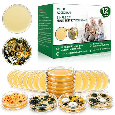 Mold Test Kit for Home | 12 Tests for Air, HVAC & Surfaces | 48-Hour Results with Identification Guide in Kuwait