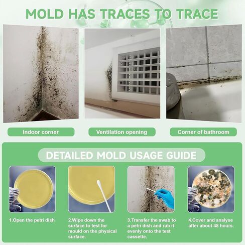 Mold Test Kit for Home | 12 Tests for Air, HVAC & Surfaces | 48-Hour Results with Identification Guide in Kuwait