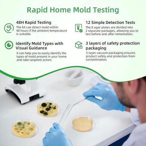 Mold Test Kit for Home | 12 Tests for Air, HVAC & Surfaces | 48-Hour Results with Identification Guide in Kuwait