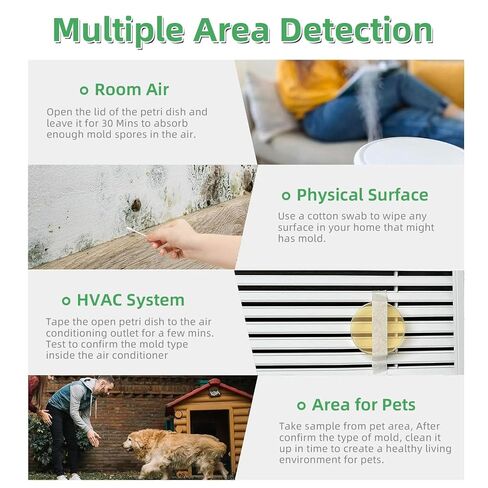 Mold Test Kit for Home | 12 Tests for Air, HVAC & Surfaces | 48-Hour Results with Identification Guide in Kuwait
