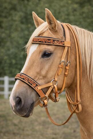 CHALLENGER Horse Western Leather Sunflower Bitless Sidepull Bridle Reins Hackamore 77RS26TN in Kuwait