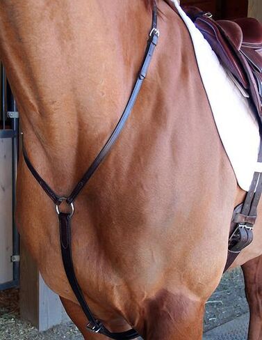 Nunn Finer Yoke in Kuwait