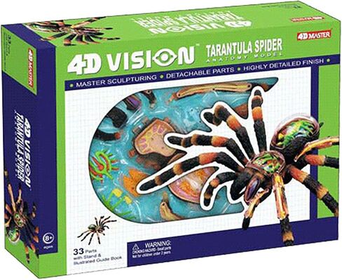 نماذج تشريح العنكبوت 4D Vision - 33 جزءًا من الأعضاء وأجزاء الجسم نموذج تعليم طبي قابل للإزالة - لتدريس Diaplay الدراسة، نموذج تشريحي للحيوانات in Kuwait