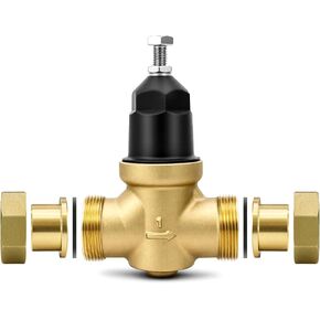 1-NR3XLDUC صمام تخفيض الضغط، 1 بوصة NR3XL مع منظم ضغط توصيل العرق النحاسي المزدوج FNPT، مصفاة من الفولاذ المقاوم للصدأ، سهولة الصيانة in Kuwait
