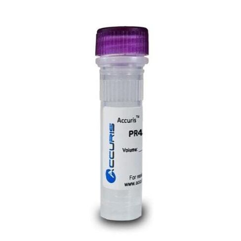 PR4100-500, 1kb DNA Ladder (Pack of 500 pcs) in Kuwait