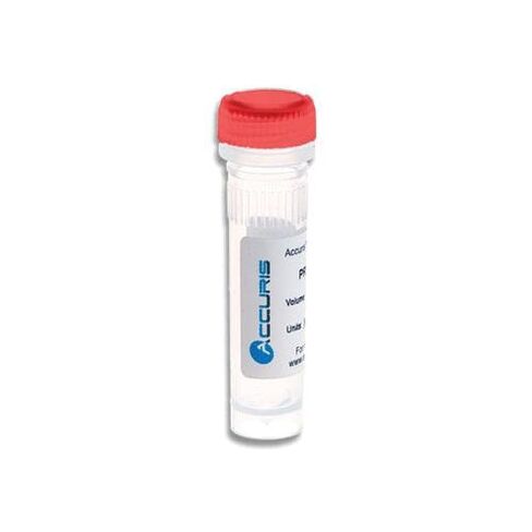 PR1000-HS-6000، بوليميريز DNA Taq الساخن (عبوة من 6000 قطعة) in Kuwait