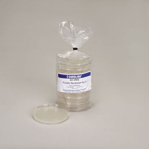 Potato Dextrose Agar, Prepared Media Plates, 100 x 15 mm, Pack of 10 in Kuwait