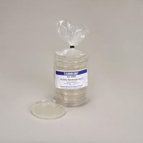 Potato Dextrose Agar, Prepared Media Plates, 100 x 15 mm, Pack of 10 in Kuwait
