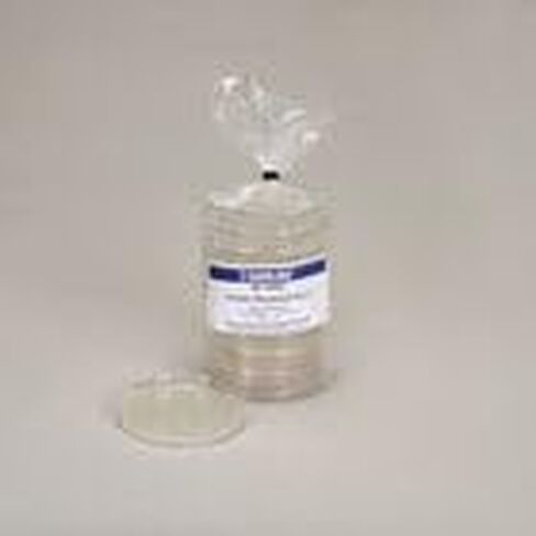 Potato Dextrose Agar, Prepared Media Plates, 100 x 15 mm, Pack of 10 in Kuwait