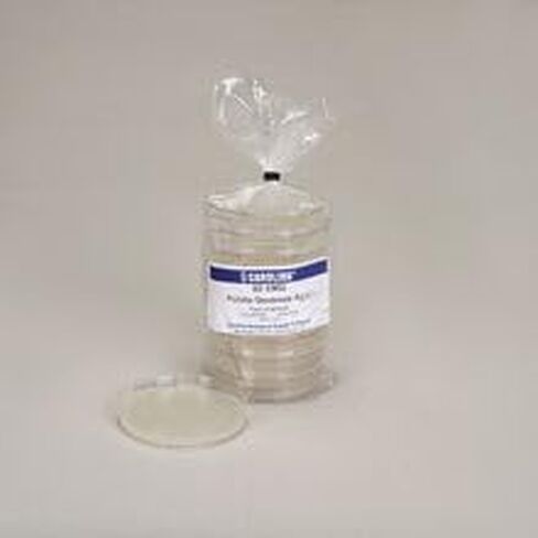 Potato Dextrose Agar, Prepared Media Plates, 100 x 15 mm, Pack of 10 in Kuwait