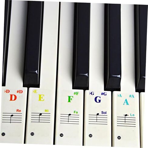 6pcs Piano Keyboard Stickers Removable Transparent Decals for Key Electronic Keyboards Easy to Use for Beginners and Self Study Includes and Designs in Kuwait