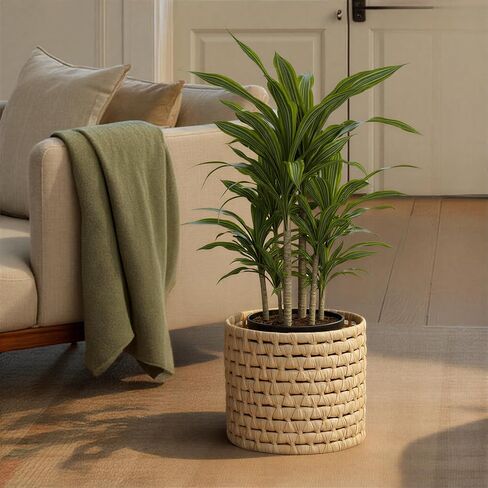 Household Essentials Round Full Corn Leaf Basket, Natural in Kuwait