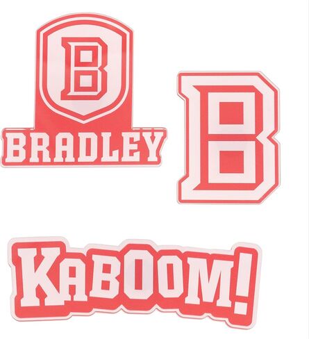 Desert Cactus Bradley University Acrylic Magnet 3 Pack BU Braves Decorative Design Officially Licensed (Magnet Set A) in Kuwait