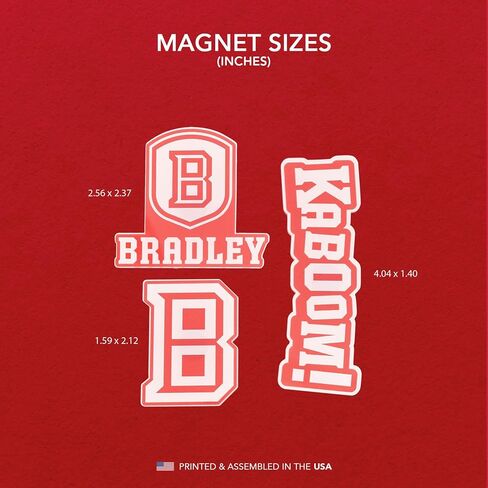 Desert Cactus Bradley University Acrylic Magnet 3 Pack BU Braves Decorative Design Officially Licensed (Magnet Set A) in Kuwait