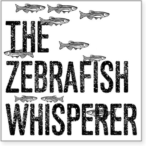 CafePress Zebrafish Whisperer Sticker Square Bumper Sticker Car Decal in Kuwait