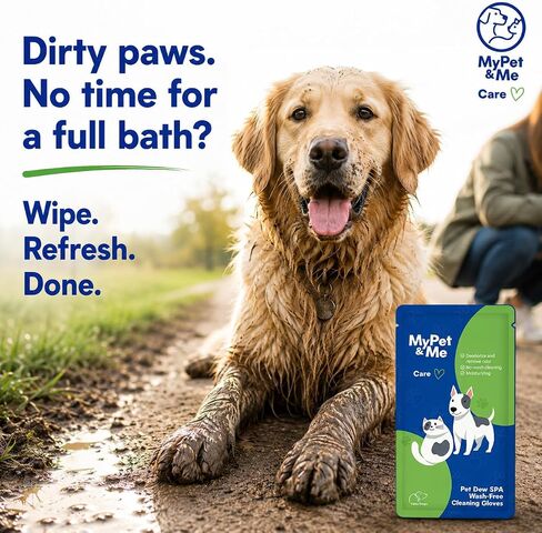 Mypet & Me Travel Cleaning Gloves - 6 CT | مناديل لا شطف للحيوانات الأليفة للكلاب والقطط | القفازات اللطيفة وترطيب القفازات | منظف ​​مخلب سهل وحمام الكلاب in Kuwait