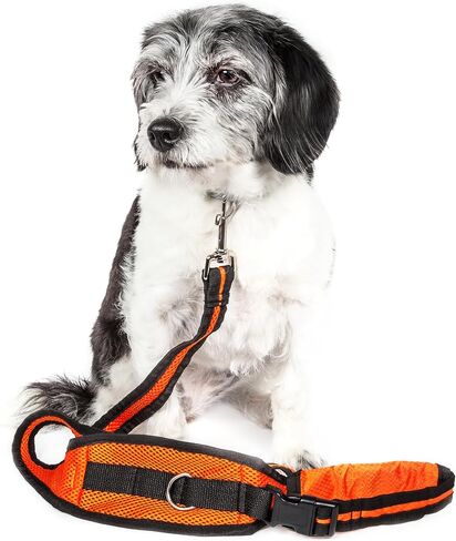 Pet Life ® Echelon مقود تدريب الكلاب بدون استخدام اليدين وقابل للتحويل 2 في 1 وحزام للحيوانات الأليفة مزود بحقيبة in Kuwait