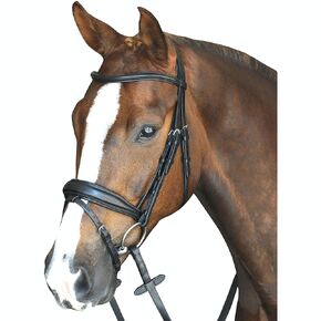 لجام فلاش مبطن ومرتفع من Collegiate Mono Crown، أسود، Warmblood in Kuwait