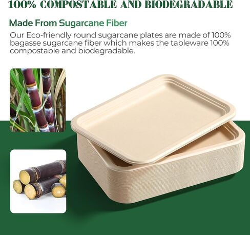 50 Pack 14 Inch Disposable Compostable Sugarcane Platters - Heavy-Duty Large Eco-Friendly for Crawfish, Lobster, Seafood Party in Kuwait