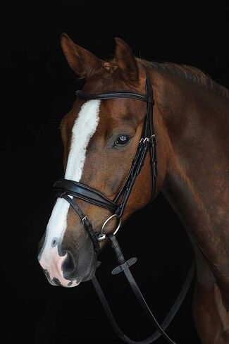 لجام فلاش مبطن ومرتفع من Collegiate Mono Crown، أسود، Warmblood in Kuwait