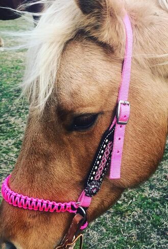 Hot Pink side pull hackamore attachment bitless bridle, horse tack in Kuwait