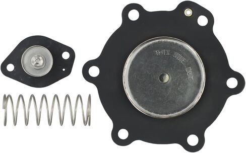 Diaphragm Repair Kit C113827 Replacement SCG353A047 1 1/2" Set in Kuwait