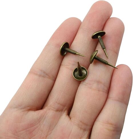 XGNG 150PCS Metal Threaded Round Head Straight Nails Decorative Furniture Mini Upholstery Nails for Sofa Beds Message Boards and Photo Walls in Kuwait