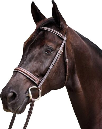 Equinavia Valkyrie Classic Wide Noseband Hunter Bridle with Reins in Kuwait