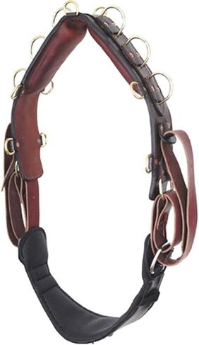 Schneiders Premier Fits All Surcingle for Horses | Unique Dual Western Tie Strap | Generous Padding | Premium Buffalo Leather | Heavy Duty Rings | Fits All Breeds in Kuwait