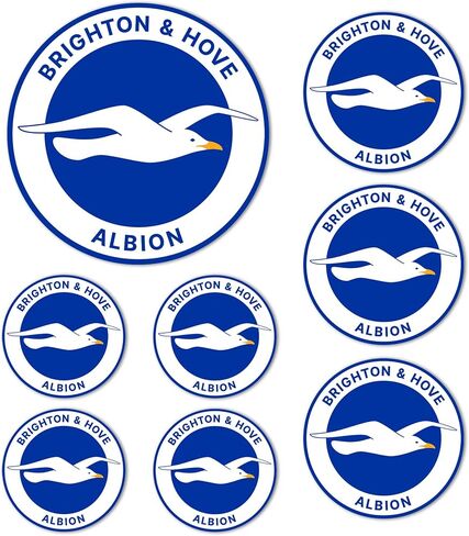 Desert Cactus Brighton & Hove Albion Sticker BHAFC Seagulls Football Club Decal Vinyl Laptop Water Bottle Car Scrapbook Official Fan Gear T3 (Type 3-1) in Saudi Arabia
